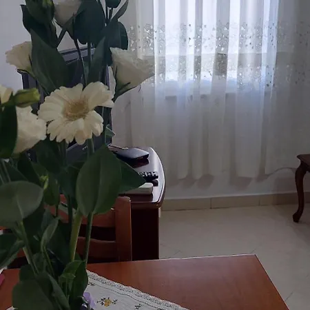 Apartment Cool Tirana